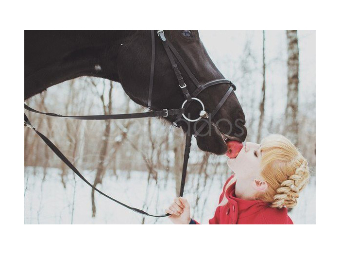 Частная конюшня в Пирогове