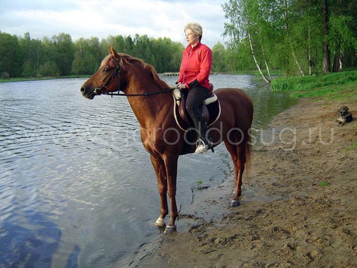 Конный клуб «Эклипс»