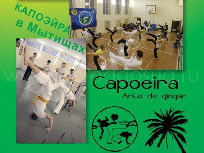 Капоэйра «Arte de gingar»