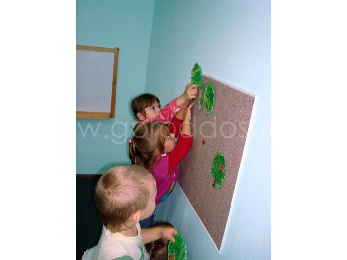 Центр развития «Солнышко»