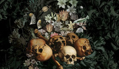 Альбом Mujuice “Downshifting”