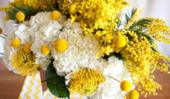 8 марта: феерия весенних цветов