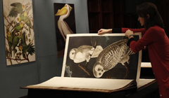Самая дорогая книга в мире: "Birds of America"