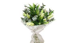 Модный досуг