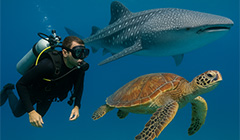 Самые волшебные берега, где природа нарисовала рай