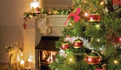 Как встретить 2016 год - год Обезьяны?