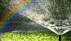 Системы автоматического полива: разновидности