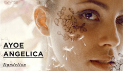 Альбом Ayoe Angelica “Dandelion”