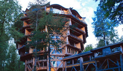 Заповедник Уило Уило (Чили)