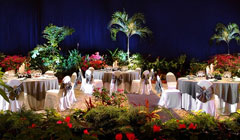 Остров Бали: приют лучших отелей мира