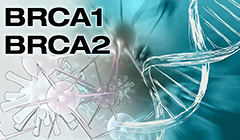 Важность проведения анализа BRCA