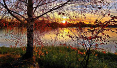 Бриллианты Золотого кольца России: Владимир и Ярославль