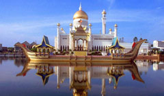 Тропические страны мира