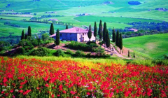 На отдых в Тоскану