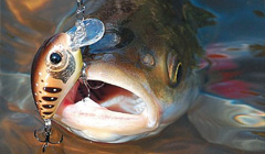 Страсти про снасти. В поисках идеального спиннинга