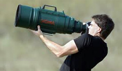 Цифровой фотоаппарат для начинающих