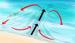 Течение в Омане: как выбрать день по воде и ветру - чтобы морская рыбалка с берега или с лодки попала в окно активности без пустых часов