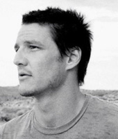 Красная гадюка Красная гадюка