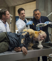 Восхождение Ганнибала