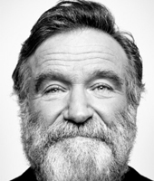 Возвращение Робина Возвращение Робина