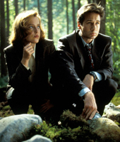 Агенты возвращаются