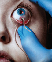 Что-то в глаз попало