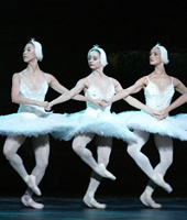 Билет на 3D-балет Билет на 3D-балет