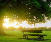 Изменения тренера на тренинге личностного роста