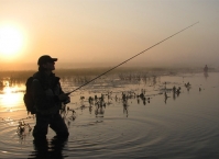 Страсти про снасти. В поисках идеального спиннинга