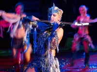 Лучшие цирковые программы