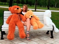 Плюшевый мишка - оригинальный и интересный подарок