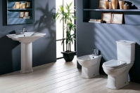 Покупка сантехники через интернет-магазин. Как это сделать правильно, чтобы потом не сожалеть?