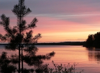 Страсти про снасти. В поисках идеального спиннинга