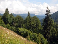 Что такое зеленый туризм?