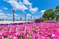 Анапа в мае - миниатюрный рай на земле