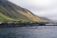 Остров Маккуори