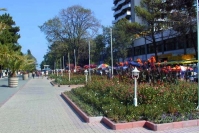 Особенности курортного сезона в Болгарии