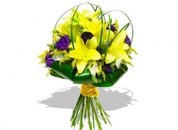 Модный досуг