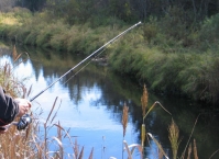 Страсти про снасти. В поисках идеального спиннинга