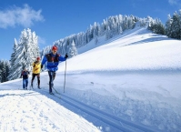 Что выбрать – лыжи или сноуборд?