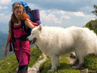 Путешествие с собакой