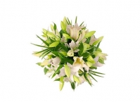 Модный досуг