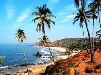 Отдых на Гоа