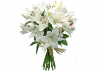 Модный досуг