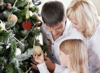 Как выбрать новогоднюю елку?