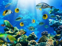 Египет: краткий обзор страны