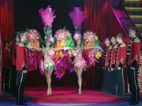 Лучшие цирковые программы