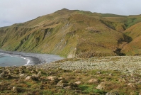 Остров Маккуори