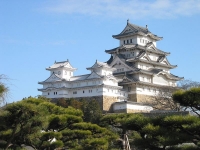 Путь к сердцу Японии через ее язык