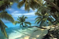 Туры в Шри-Ланку от компании GroupTravel